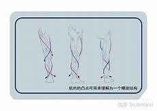 关于腿部描写